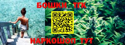 Альфа ПВП Аргун