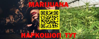 Альфа ПВП Аргун