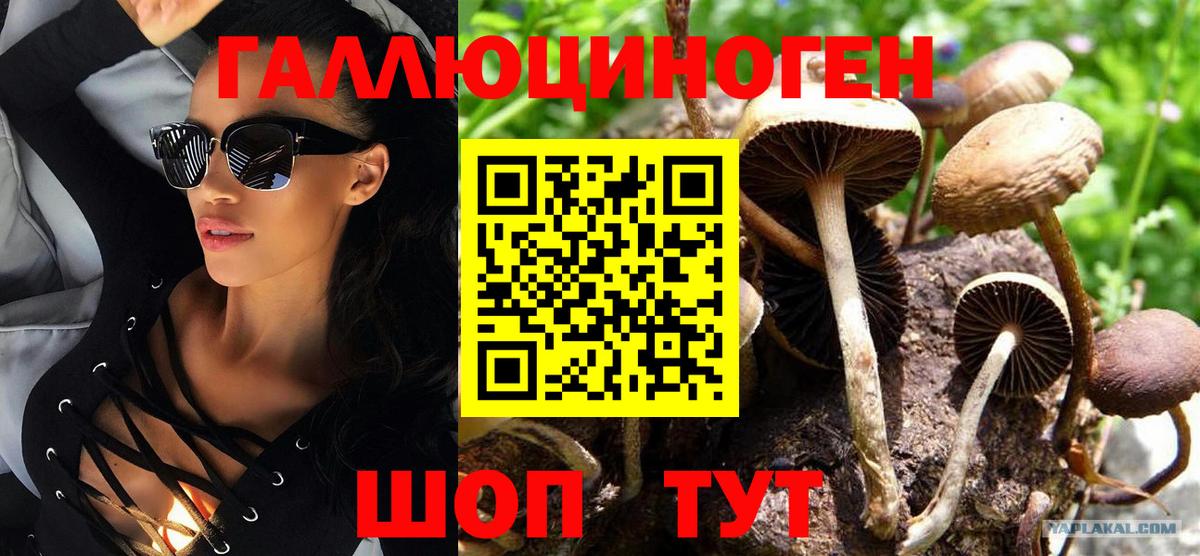 Псилоцибиновые грибы Magic Shrooms  наркошоп  Кстово 