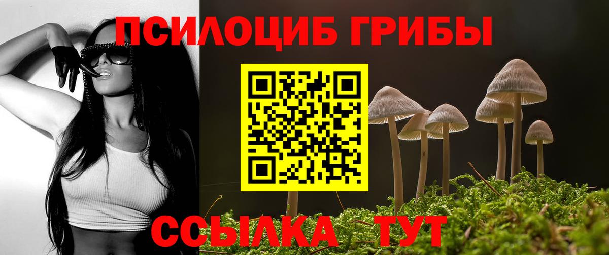 Галлюциногенные грибы Psilocybe Кстово